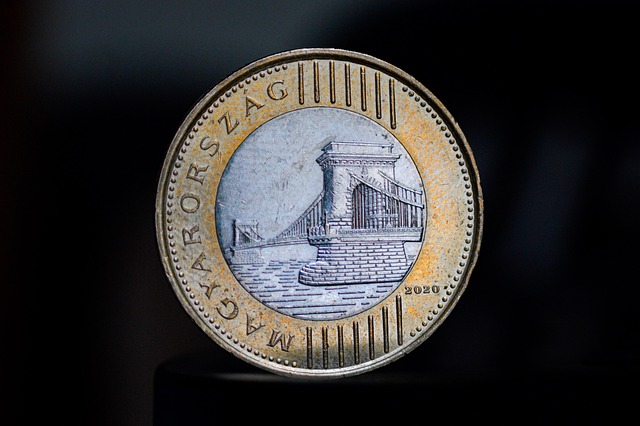 cizí mince