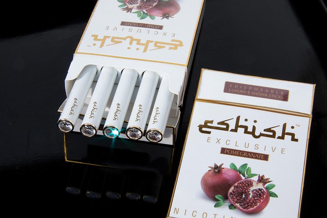 Elektronické cigarety jsou různé.